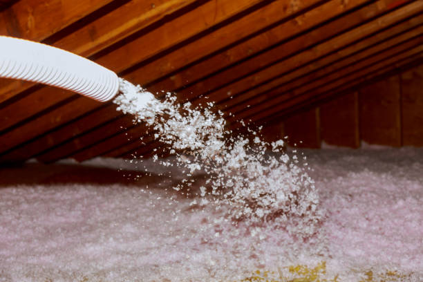 Best Garage Insulation  in Dickinson, TX