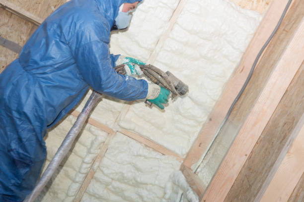 Best Batt and Roll Insulation  in Dickinson, TX